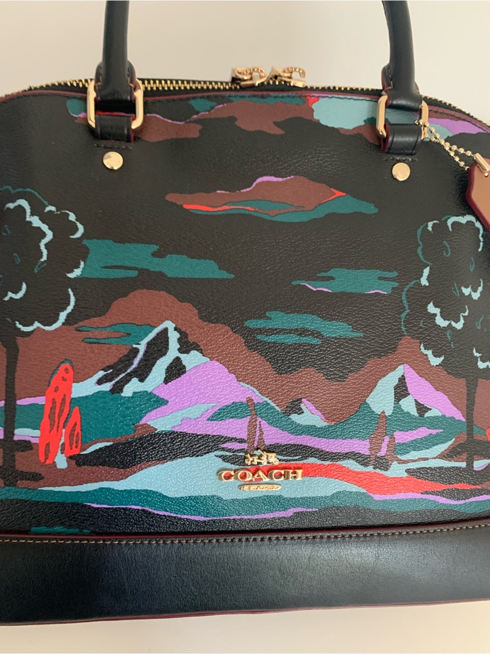 Coach Sierra satchel bag. - Picture 7 of 7